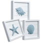 TideAndTales Blue Seashells and Starfish (Framed Set of 3) Coastal 3D Wall Art Beach Wall Decor for Bathroom or Coastal Bedroom Ocean Inspired Beach Decorations for Home or Beach House (7"x7")